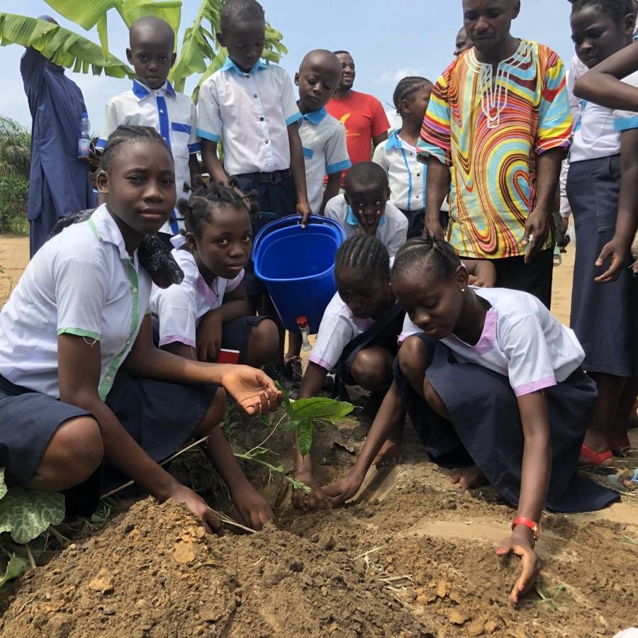 Reforestation